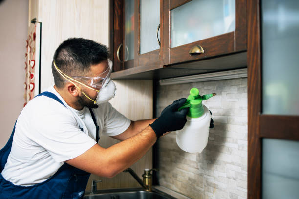 Best Pest Control for Businesses  in Highland Village, TX