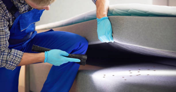 Best Best Pest Control Companies  in Highland Village, TX