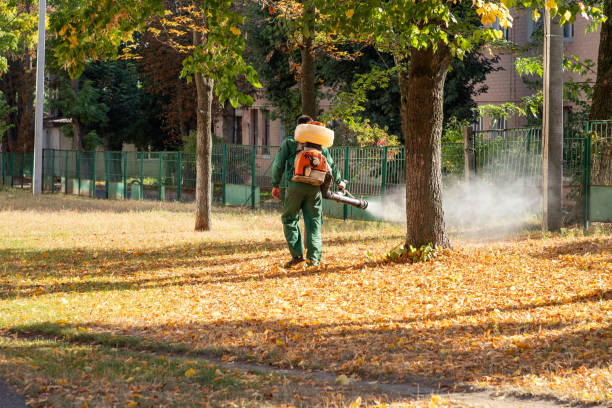 Best Mosquito Control Services  in Highland Village, TX