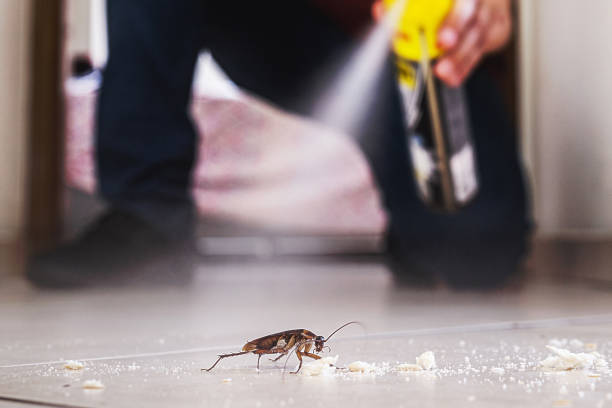 Best Cockroach Control Services  in Highland Village, TX