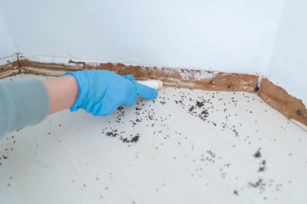 Best Commercial Pest Control Services  in Highland Village, TX